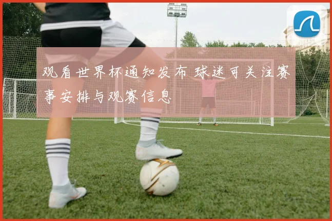 观看世界杯通知发布 球迷可关注赛事安排与观赛信息